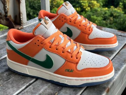 Florida A&M x Nike Dunk Low "Rattler" (DR6188-800)